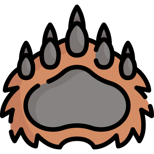 Bear free icon