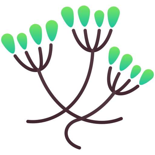 alcaravea icono gratis