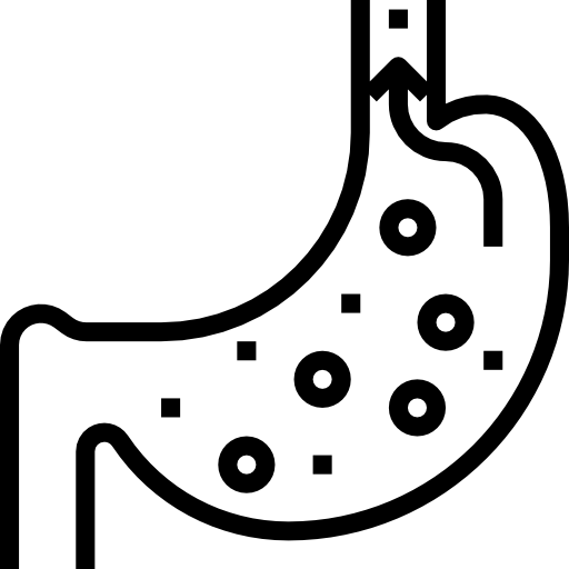 bauch kostenlos Icon