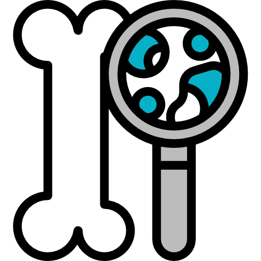 os Icône gratuit os Icône gratuit