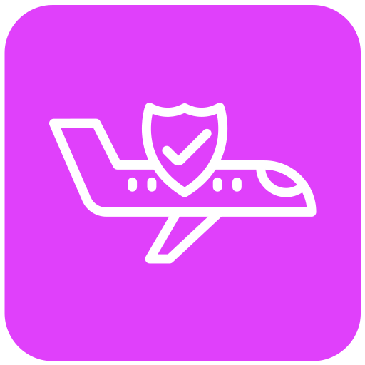 vuelo seguro icono gratis