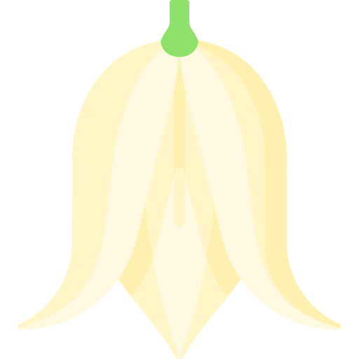 yucca kostenlos Icon yucca kostenlos Icon