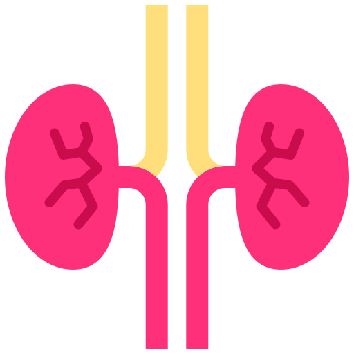 Kidneys - Free healthcare and medical icons