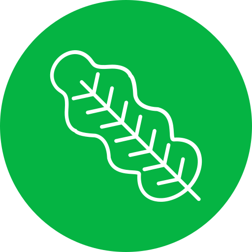 Leaf Generic Flat icon