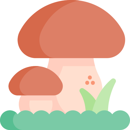 Mushroom Special Flat icon