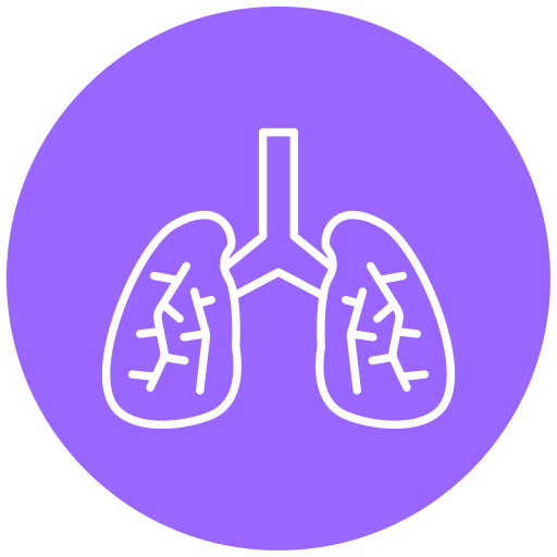 pulmões grátis ícone