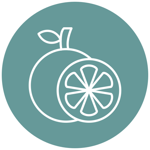 naranja icono gratis