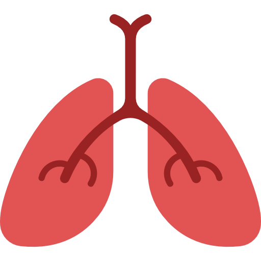 폐 무료 아이콘