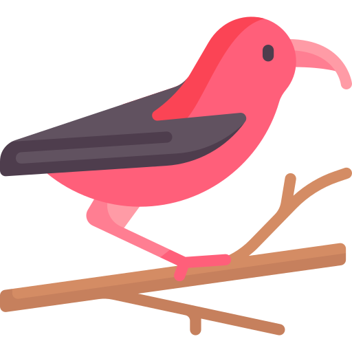 kiwi kostenlos Icon kiwi kostenlos Icon
