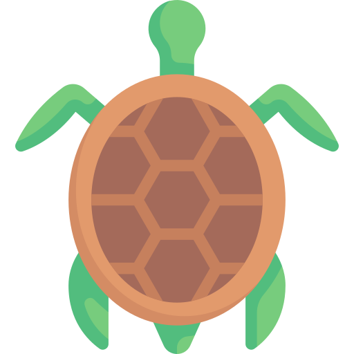 Turtle Special Flat icon