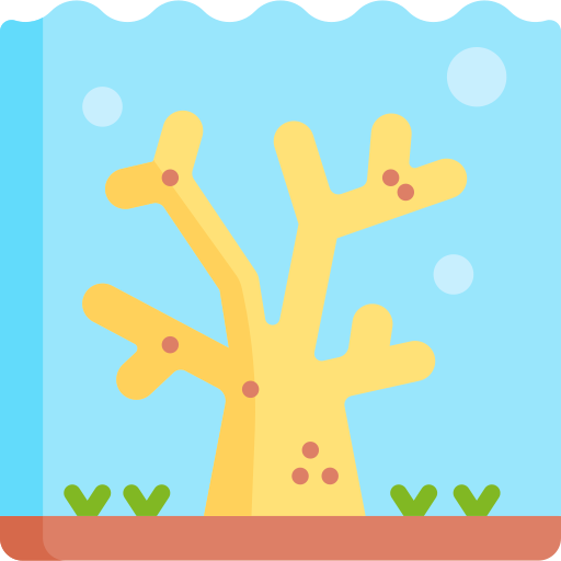 Coral free icon Coral free icon
