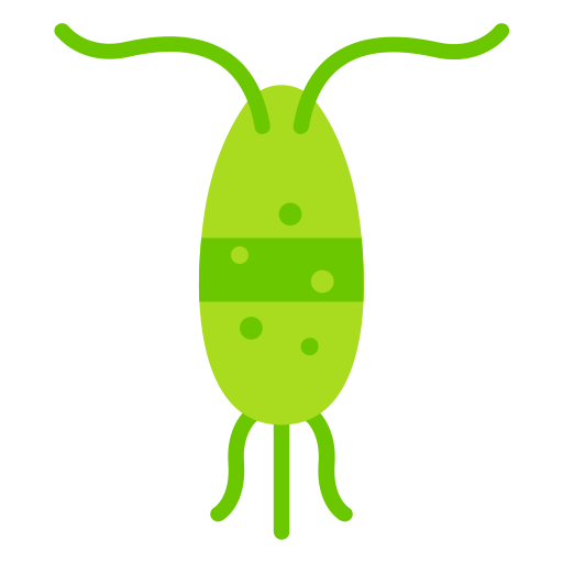 plankton animal