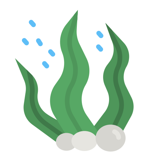 Algae - Free animals icons