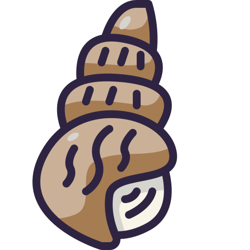 Seashell Generic Outline Color icon