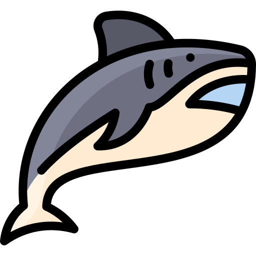 requin Icône gratuit requin Icône gratuit