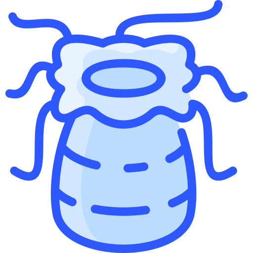 Sea anemone free icon Sea anemone free icon