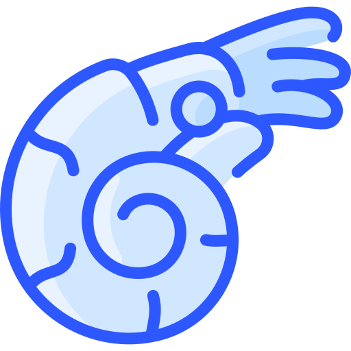 nautilo icono gratis