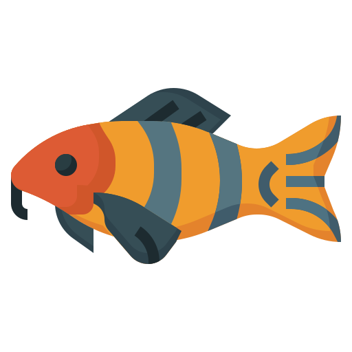 Clown loach free icon