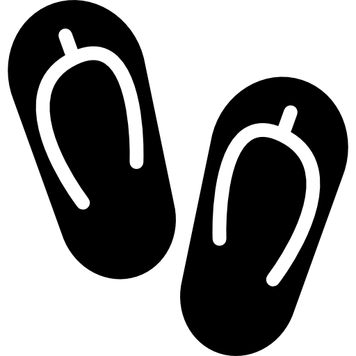 Pair of Sneakers icon