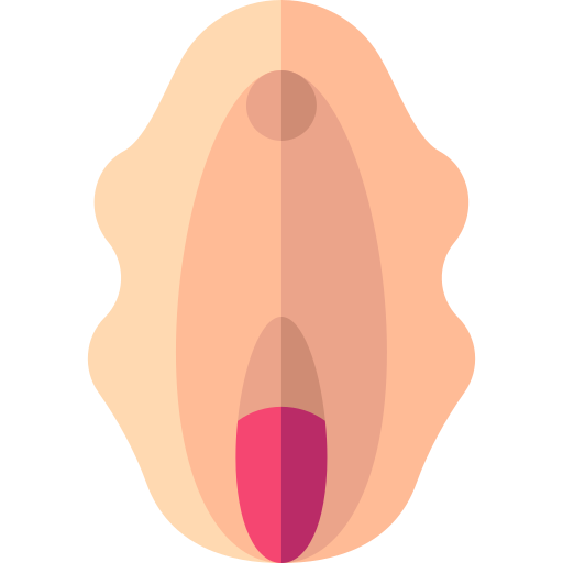 vagina icono gratis