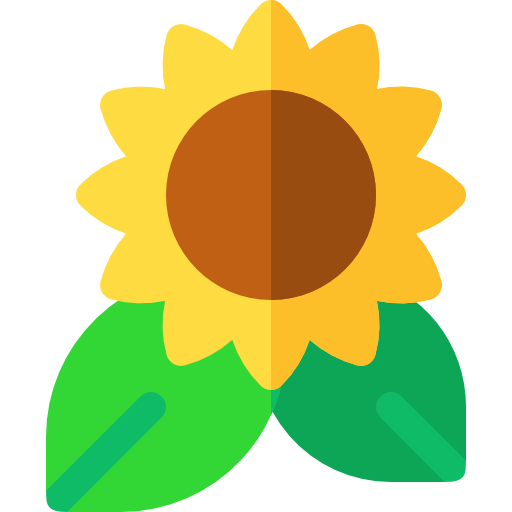 Sunflower - free icon