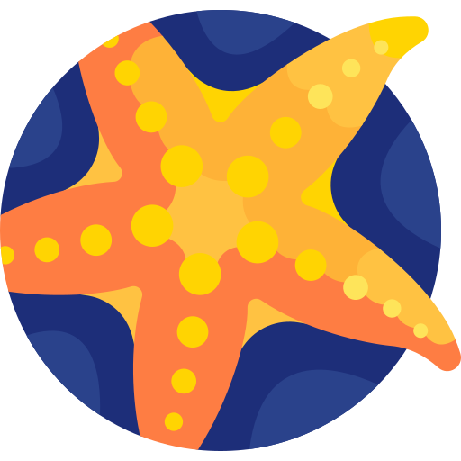 Starfish free icon Starfish free icon
