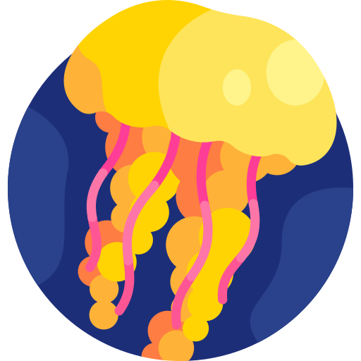 Jellyfish free icon Jellyfish free icon