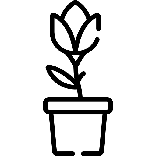 tulipe Icône gratuit