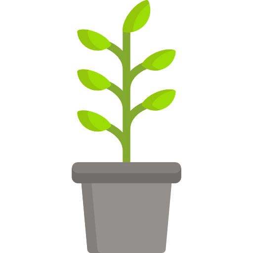 Plant Special Flat icon