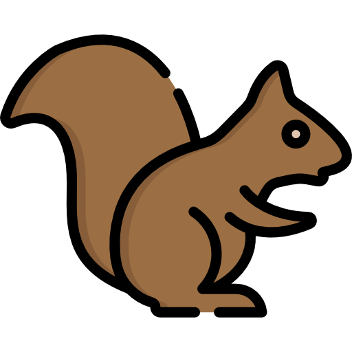 Squirrel Special Lineal color icon