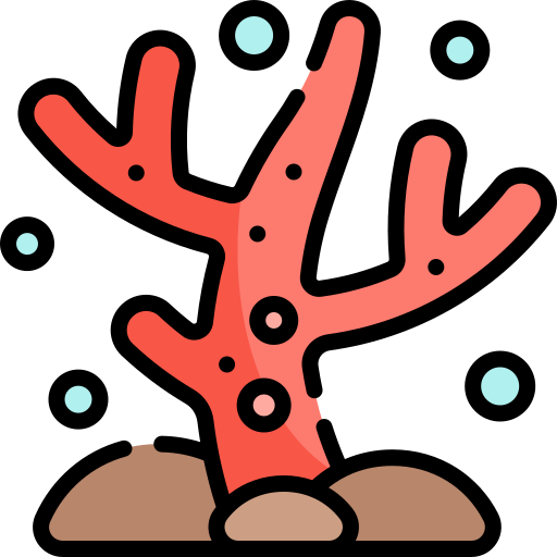 Coral free icon Coral free icon