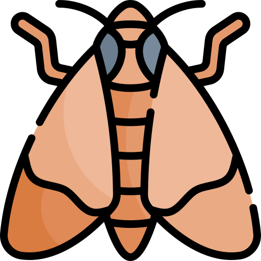 Moth Kawaii Lineal color icon