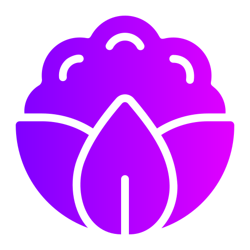 Cauliflower free icon