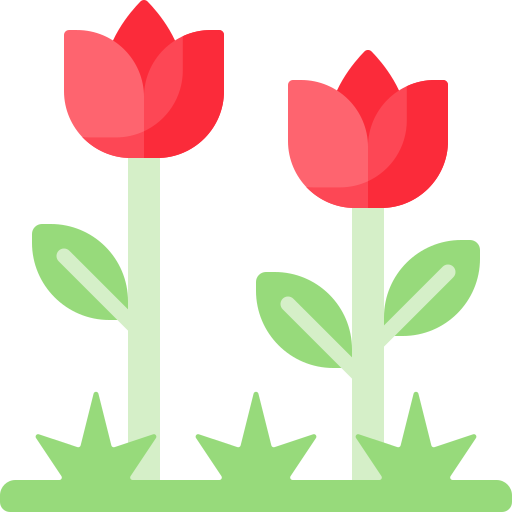 Flower Special Flat icon