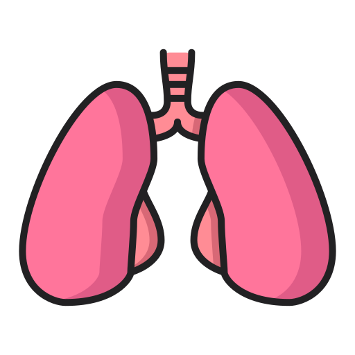 Lungs Generic Outline Color icon