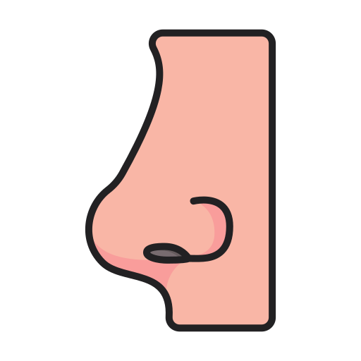 Nose Generic Outline Color icon