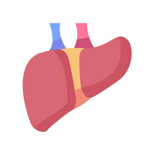 Liver free icon