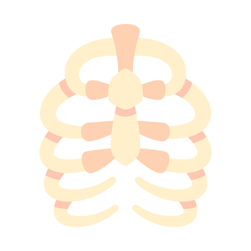 caja torácica icono gratis