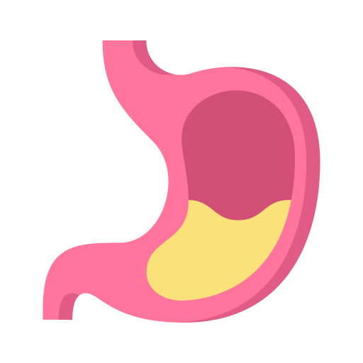 Stomach Generic Flat icon