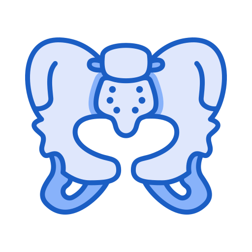 pelvis icono gratis