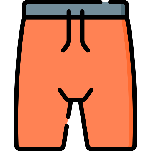 Shorts Special Lineal color icon