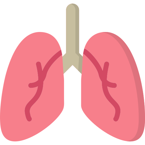 pulmones icono gratis