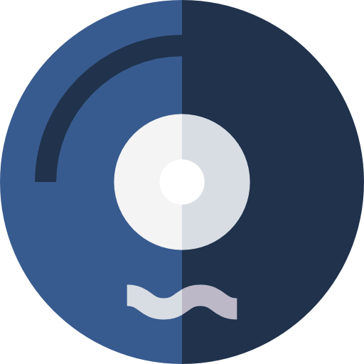 Vinyl Basic Straight Flat icon