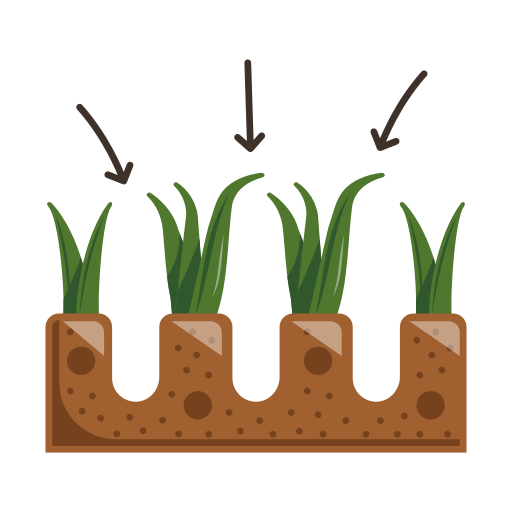 planta en crecimiento icono gratis