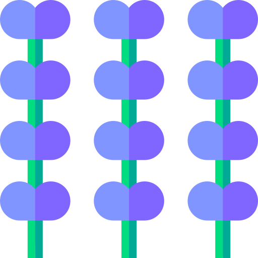 lavanda grátis ícone lavanda grátis ícone