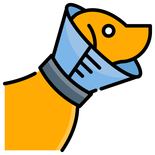 cuello isabelino icono gratis