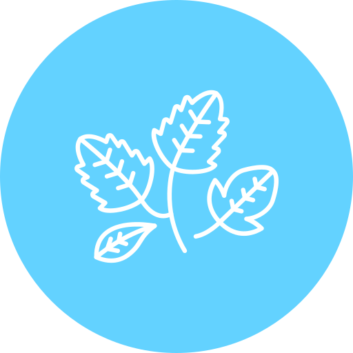 Leaves Generic Flat Icon