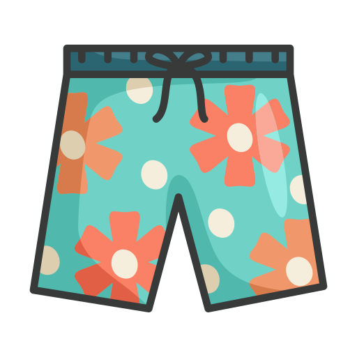 Shorts Generic Outline Color icon