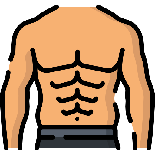 Sixpack abs Icon - Download in Colored Outline Style