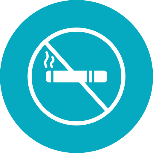 No smoking free icon No smoking free icon